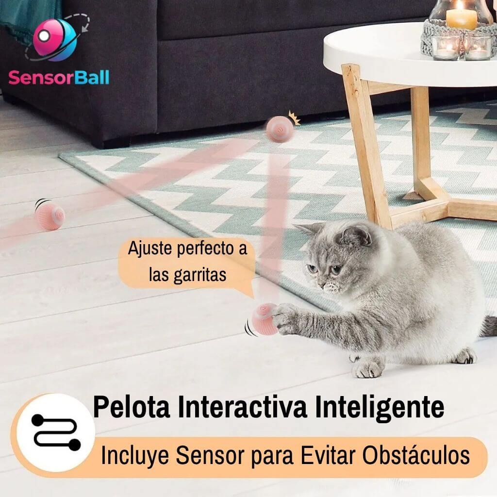 SensorBall®️- La Pelota Inteligente. ¡Ejercita a tu Gato sin que se atasque! ¡Caza Real!