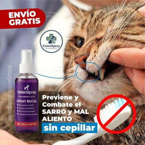 VeteriSpray®️ - La solución clínica para limpiar los dientes de tu mascota desde casa