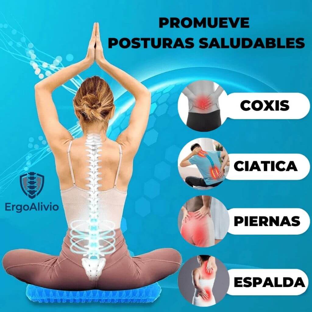 ErgoAlivio®️ - Protege tu columna y reduce la presión lumbar al estar sentado