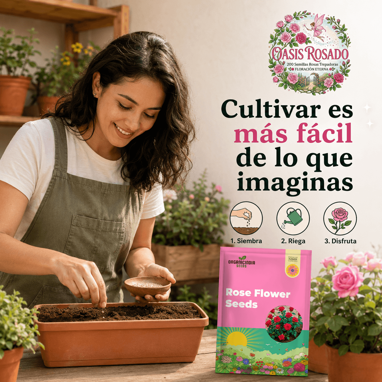 OASIS ROSADO®: El kit de 200 semillas de rosas trepadoras que llena tu jardín de color y aroma al instante.
