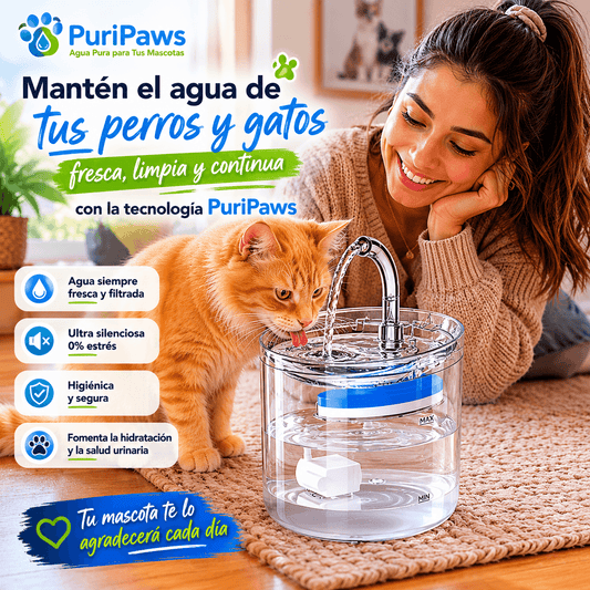 PuriPaws®: El dispensador automático transparente que fomenta la hidratación de tus mascotas.