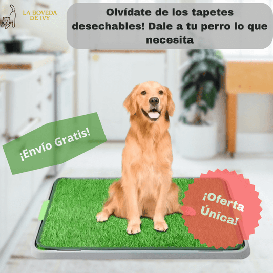 Tapete Absorbente para Perros