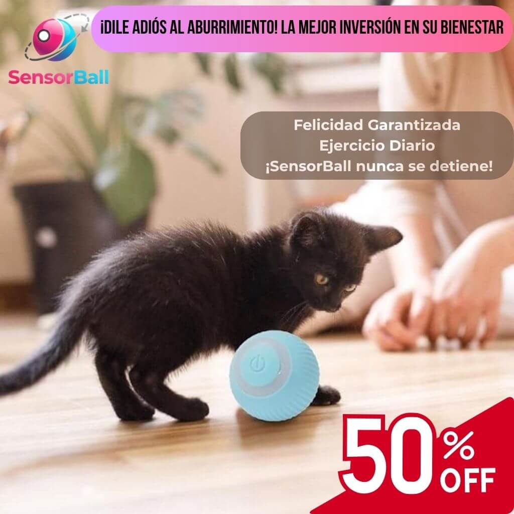 SensorBall®️- La Pelota Inteligente. ¡Ejercita a tu Gato sin que se atasque! ¡Caza Real!